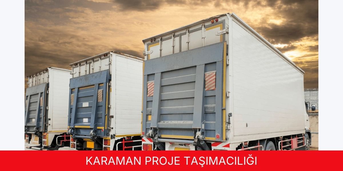 Proje Taşımacılığı